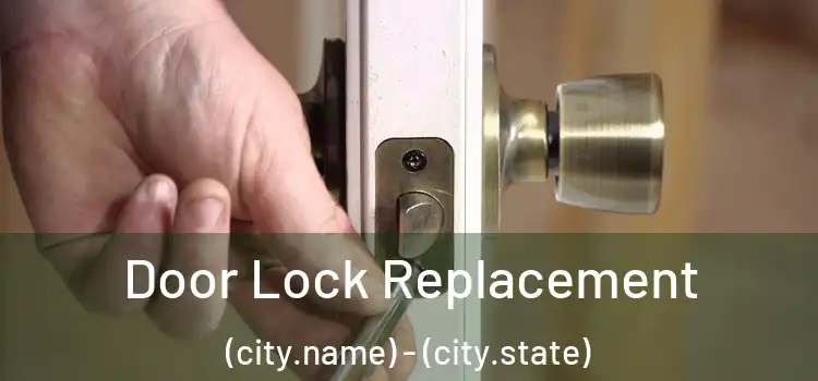  Door Lock Replacement (city.name) - (city.state)